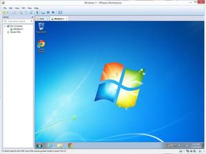 usingvm vmwareworkstation10 v