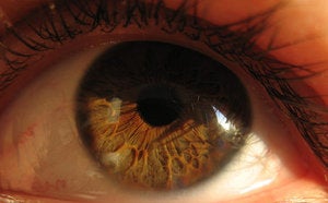 eyeball close up