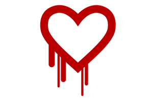 heartbleed bug