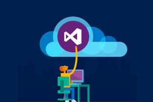 visual studio online