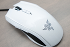Razer Taipan