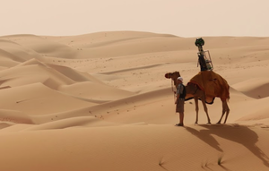 street view camel