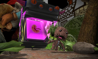 sackboy3