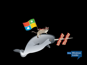 windows 10 hidden narwhal ninjacat