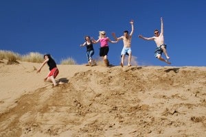 Lemmings