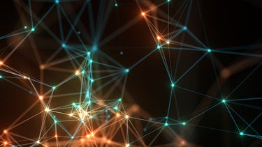 Ecosystems: when digital transformation grows up