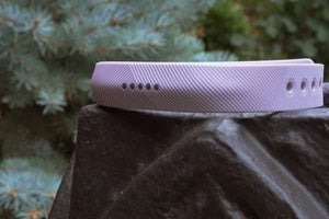 fitbit flex 2 primary