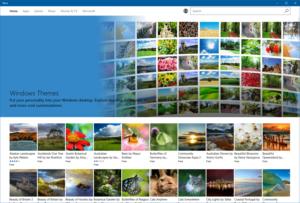 windows store themes