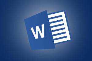 microsoft word logo primary